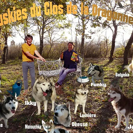 Apartman Pour Personne En Deplacement *